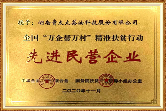 全國“萬企幫萬村”精準(zhǔn)扶貧行動先進(jìn)民營企業(yè)