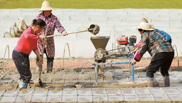 湖南日?qǐng)?bào)丨聚力打造“生物制造谷”——常德貫徹落實(shí)全國(guó)兩會(huì)精神，推動(dòng)合成生物制造產(chǎn)業(yè)高質(zhì)量發(fā)展